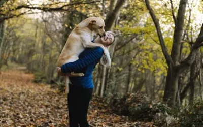 L’anxiété de séparation avec les animaux de compagnie, un enjeu de la transition universitaire selon une étude